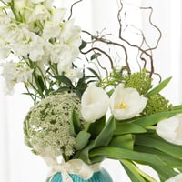 فازة أناقة الغابة البيضاء