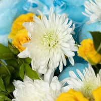 سلة الطفل الصغير