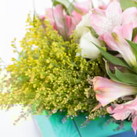 باقة سولداجو مع شوكلت جولدن تاتش