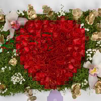 باقة ارض الحب