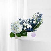 فازة نسمة الدرعية