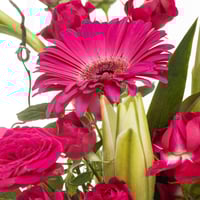 بوكس كرة السحر الأبيض