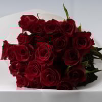 نغم الورد مع شوكلت ليفو كريب 28 قطعة