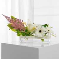 فازة جمال الطبيعة