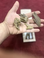 الكلمنتان الخاص محسن