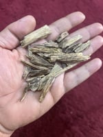 سيسور هندي طبيعي ناجلاند