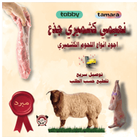 نعيمي كشميري 14 كيلو