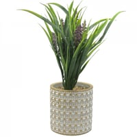 نبات زينة صناعي