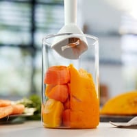 خلاط 400 واط PHILIPS HR2520