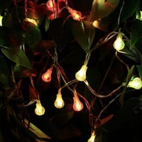 حبل اضاءة زينة 20 لمبة W14-0803