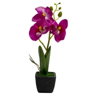 مزهرية - شتلات صغيرة