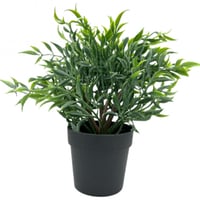 نبات زينة صناعي