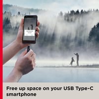 فلاش ميموري USB Type-C سانديسك 256GB