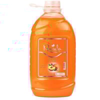 رينادا صابون غسيل اليدين بالخوخ 2.2 لتر Renada