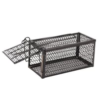 مصيدة فئران حجم صغير bj-254001