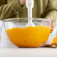 خلاط 400 واط PHILIPS HR2520