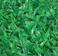 سياج زرع صناعي 60*40 سم