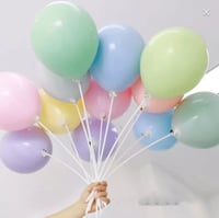 عصا البالونات 48 سم