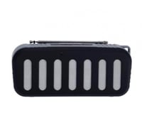 مكبر صوت و راديو 2 في 1 ( بلوتوث + USB + AUX + ذاك...