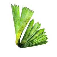 شريط زينة فيونكه للهدايا 10 قطع 19*1 سم