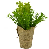 نبات زينة صناعي