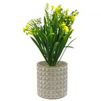 نبات زينة صناعي