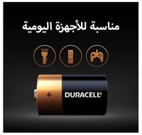 بطارية 2 بطارية 1.5 فولت DURACELL C2