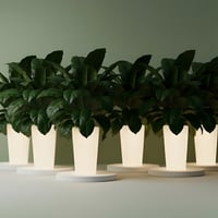 6 قطع حوض طولي LED