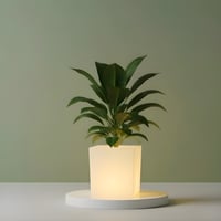 حوض مربع LED مقاس وسط