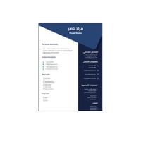 تصميم سيرة ذاتية بلغتين | 004