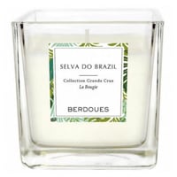 بيردويس كوليكشن جراندز كروز سيلفا دو برازيل - شمعة...