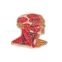 بروش وجه ورقبه