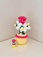 أصيص ضُمة ووبرة