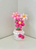 أصيص هيلو كيتي