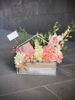 تنسيق ستاند كوخ