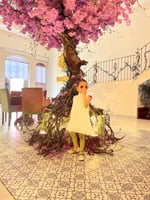 فستان الدانتيل