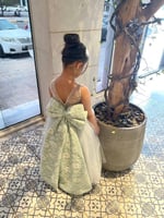 فستان البرنسس