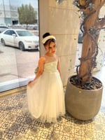 فستان البرنسس