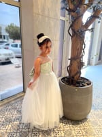 فستان البرنسس