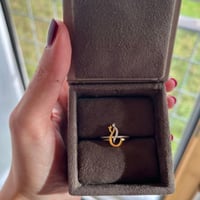 خاتم الأحرف المتشابكة