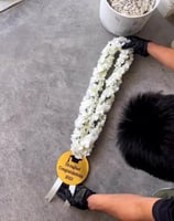 عقد التخرج بالاسم جهتين