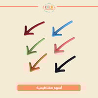 أسهم مغناطيسية