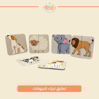 تطابق اجزاء الحيوانات