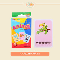 بطاقات الحيوانات