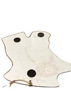 حمام الزاجل