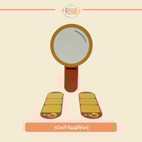 إستراتيجية المكبر