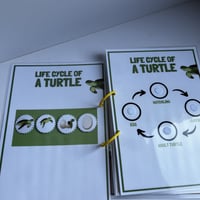 ملزمة دورة حياة الحيوانات بالإنجليزي