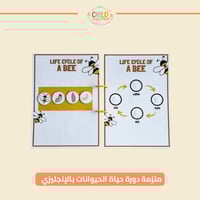 ملزمة دورة حياة الحيوانات بالإنجليزي