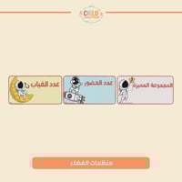 منظمات الفضاء