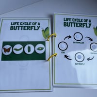 ملزمة دورة حياة الحيوانات بالإنجليزي